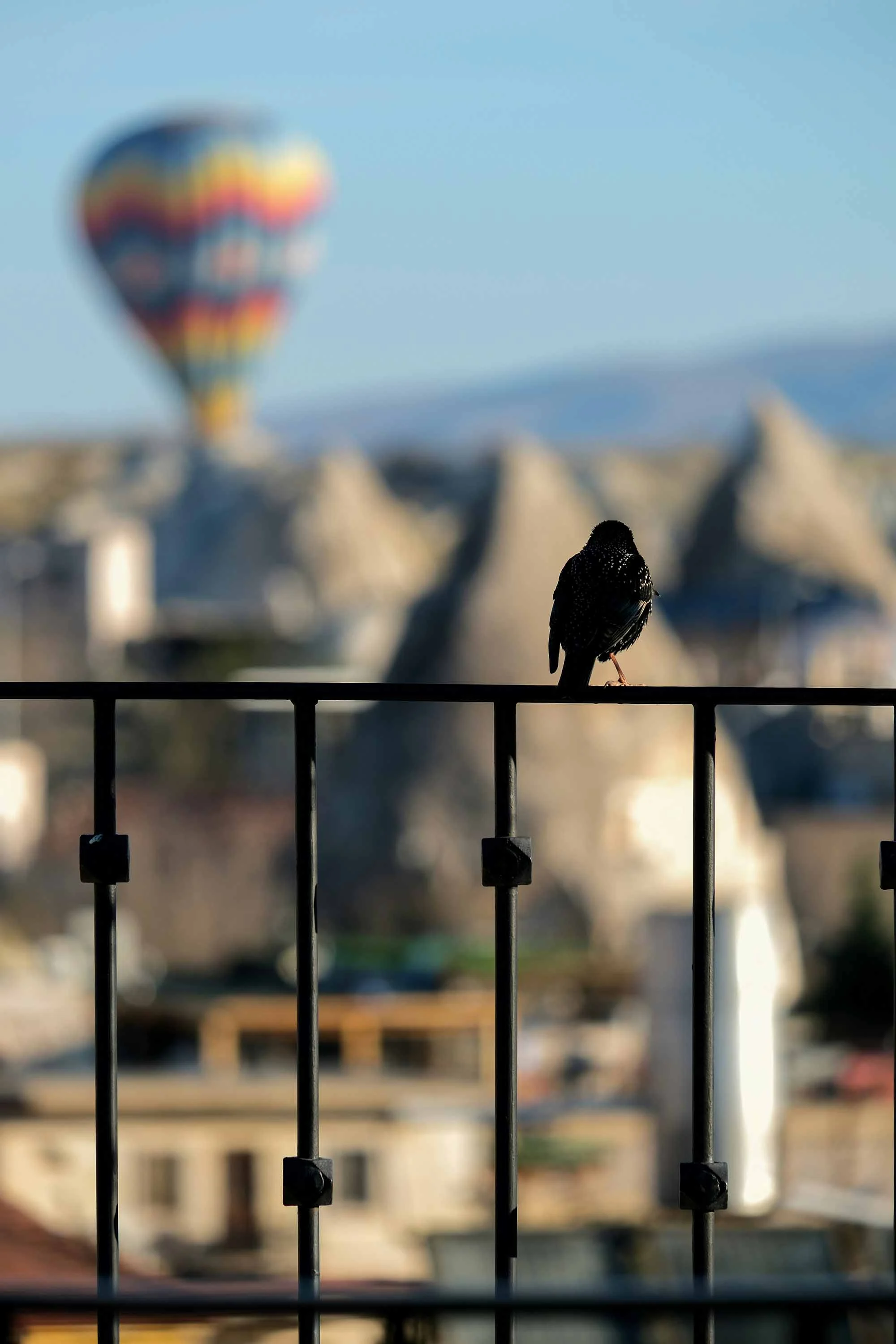 A Quiet Moment Above Cappadocia